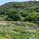 자연-이미지 이미지