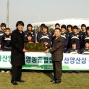 백화산양산삼조합 이미지