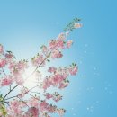 향기치유교육원 이미지