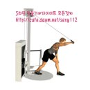 케이블 싱글 암 오버헤드 트라이셉스 익스텐션 (Cable Single Arm Overhead Triceps Extension) - 삼두 이미지