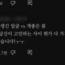 멋쟁이토마토 이미지