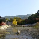 울진문화원 이미지