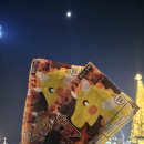 서프트리 해운대점 | 예브스선정 2025년 최고의 힐링_부산요트투어 와이홀릭 트리요트 🎄⛵️