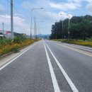 호법 코스모스길 이미지