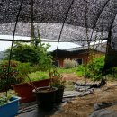 미니하우스 이미지