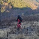 수하농장 이미지