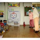 일신매화 이미지