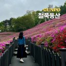 경기도 봄꽃 축제 군포 철쭉 축제 철쭉 동산 첫날 다녀온 후기