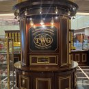 살롱드티파니 | TWG 잠실 롯데 애비뉴엘 월드타워점 애프터눈티 후기