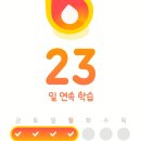 가장쉬운 여행 일본어회화(초급) | 내돈내산 랭디로 일본어 1년 반 공부 후기(일본어 회화 독학 방법)