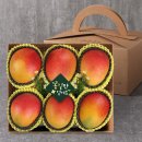 오늘 과일 이미지