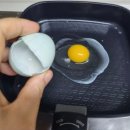 우프동물농장 이미지