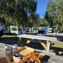 High Motor | 뉴질랜드 남섬 캠핑카 여행 13박 15일 일정 총정리 | 실제 동선 &amp; 홀리데이파크 예약사이트