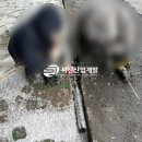 서진개발