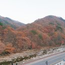 지리산 뱀사골 리움펜션 이미지