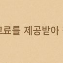 강남 요미독앤캣 강아지 분양 고양이 분양 이미지