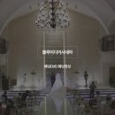 블루미디어