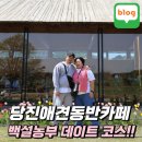 당진애견동반카페 백설농부 반려견과 함께 즐기는 특별한 당진여행당일치기