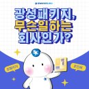 광성패키지