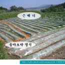 동아농장 이미지