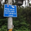 [국도29] 서산시 일람리