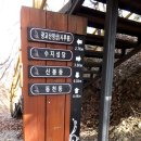 (371차)광교산 백운산의 겨울 산길 이미지