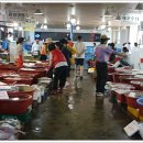 파장초교 이미지