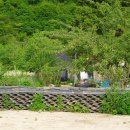 새로이펜션민박 이미지