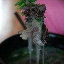 한송식당