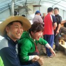 꽃피는산꼴 이미지