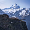 알프스뷔페 이미지