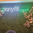 애니핏그라운드 이미지