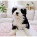 아이센터샵 이미지