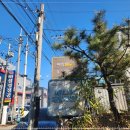 (주)1급오성자동차정비 | 부산 포터 판금도색 완벽하게 색감이 나오는 1급오성자동차정비