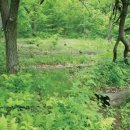 산천농장 이미지