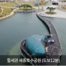 나성동_리치먼드시티 앞 이미지