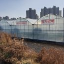 영스팜 이미지