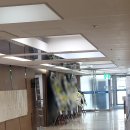 지샘병원 앞 | 군포 지샘병원장례식장에서 치른 단아장 장례후기