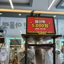 쿠야야 | 광주 “패션독”에서 질이 엄청 좋은데 가격도 저렴한 강아지 옷 내돈내산 구매후기