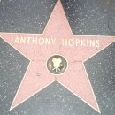 허리우드 이미지