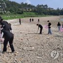 국립신시도자연휴양림 이미지