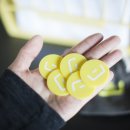 바구니 호스텔 이미지