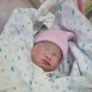 전치 앞(1) | 전치태반으로 대학병원 선택, 서울아산병원 제왕절개 출산 후기