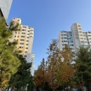 띵커벨라 뷰티 속눈썹
