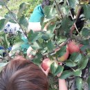 별빛촌 성재농장 이미지