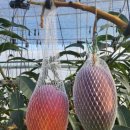 사가농장 이미지