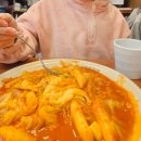 퍼펫 애견카페 이미지