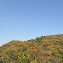 로하스 | 정읍 로하스 캠핑장 D10 후기, 명당 사이트 추천