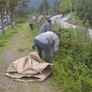 김천공단정비 이미지