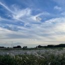 미.서울치과 이미지